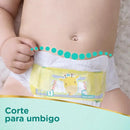 Fralda Premium Care RN+ 36 Unidades